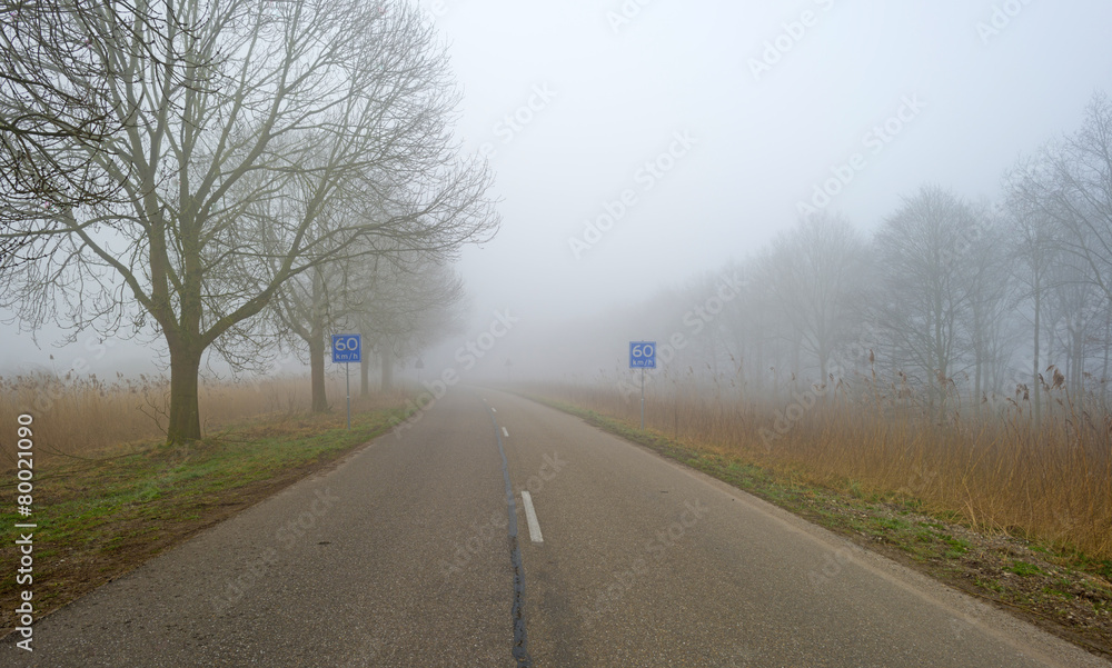 Fototapeta premium Road through a foggy landscape in winter