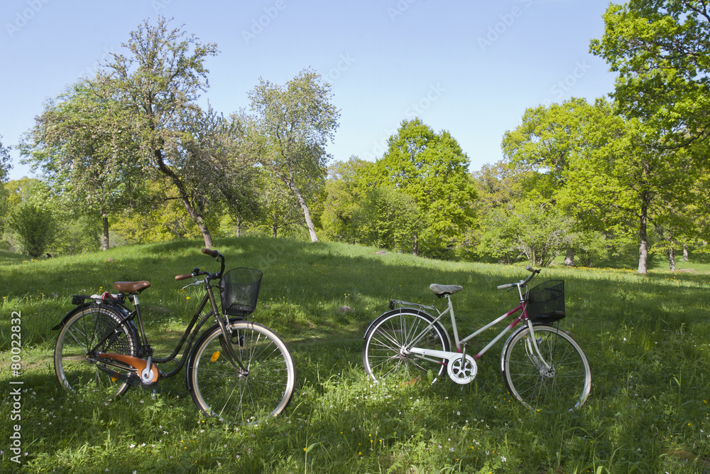 Bicycles on the meadow