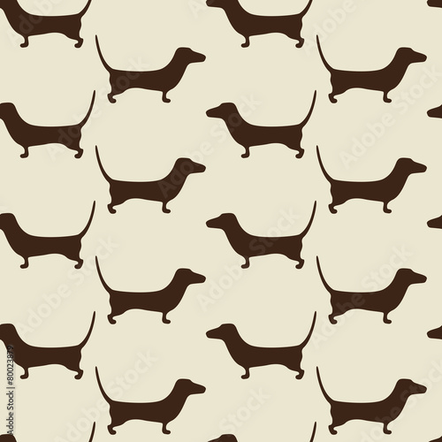 Dachshund background