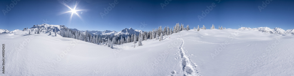 Winterpanorama