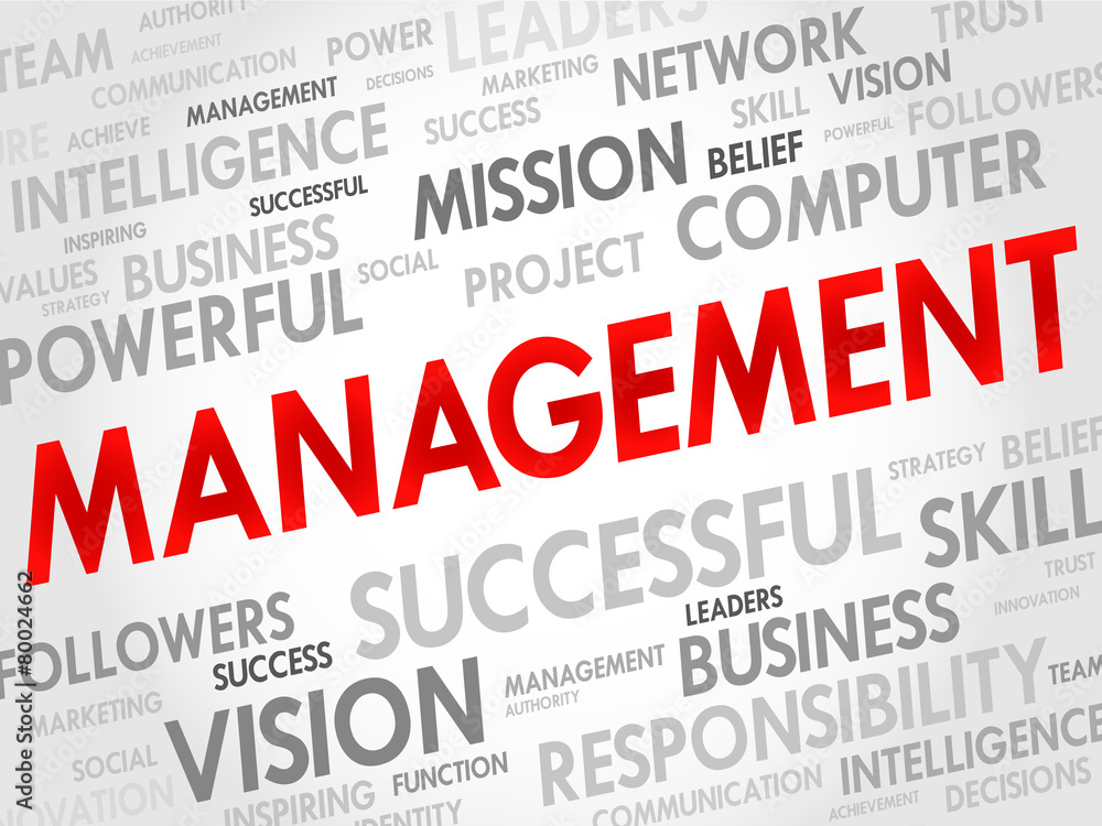 MANAGEMENT word cloud, business concept MANAGEMENT word cloud, business concept