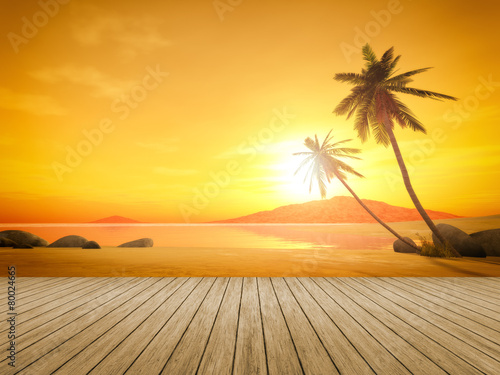 sunset palm tree
