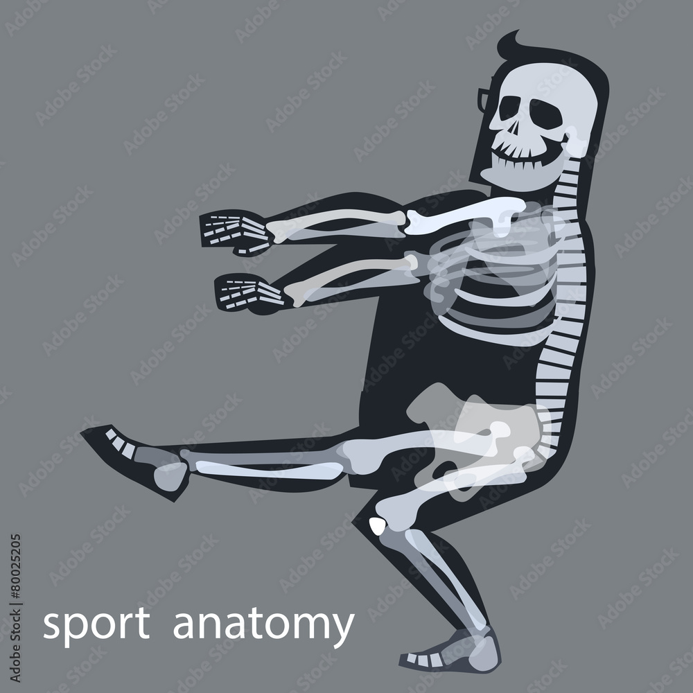 Fototapeta premium Skeleton anatomy sport male gymnastics