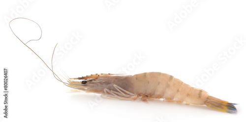 Shrimp isolated on white © Africa Studio