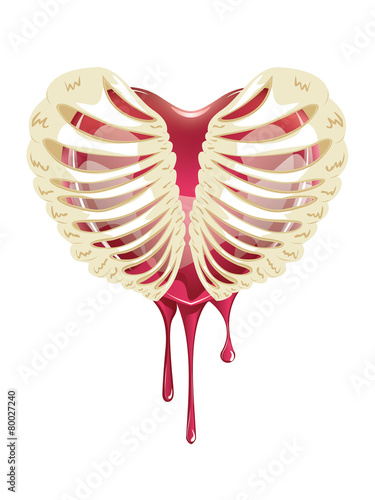 Red Bleeding Heart in Thorax