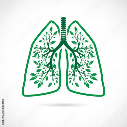 Human lungs in the form of green leaves on a white background.