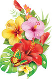 Bouquet of tropical flowersv