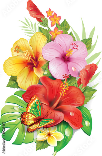 Bouquet of tropical flowersv