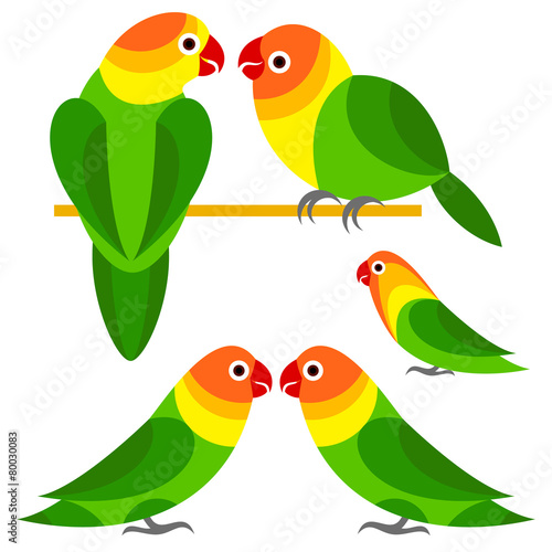 Parrot