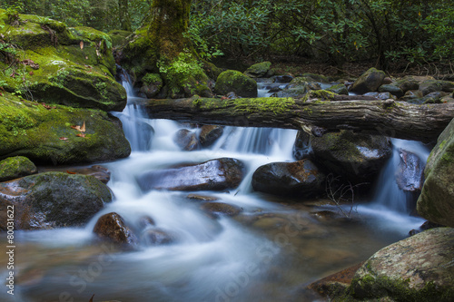 Fototapeta Naklejka Na Ścianę i Meble -  lush waterfall in South Carolina