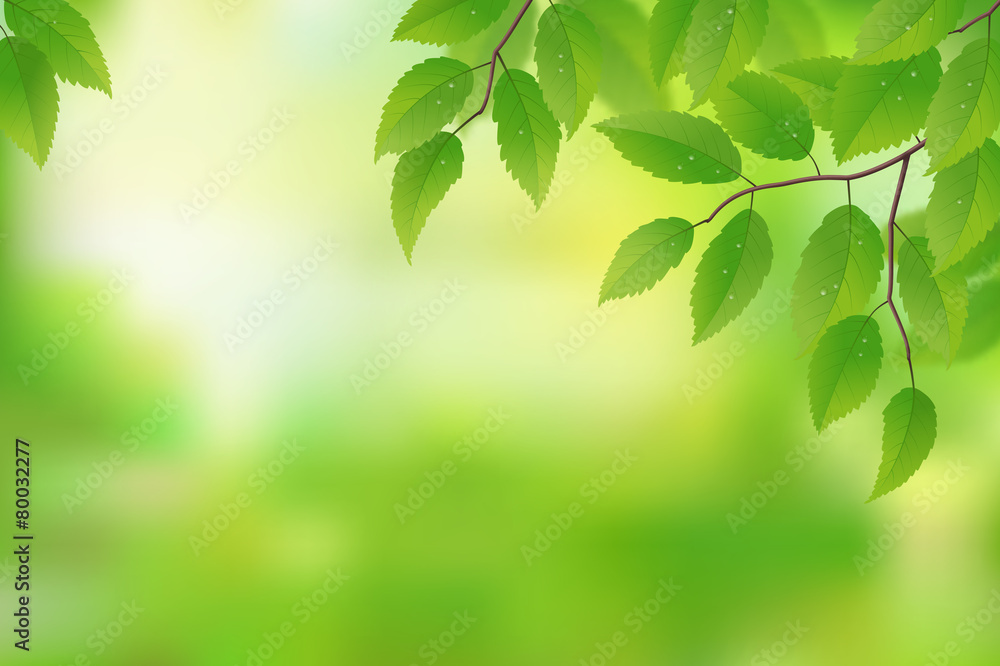 Fresh green leaves background, vector illustration Fresh green leaves background, vector illustration