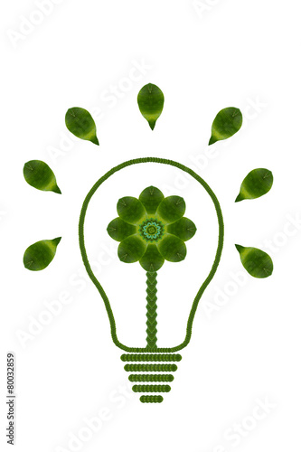 Idea light bulb from leaf.( ECO concept)