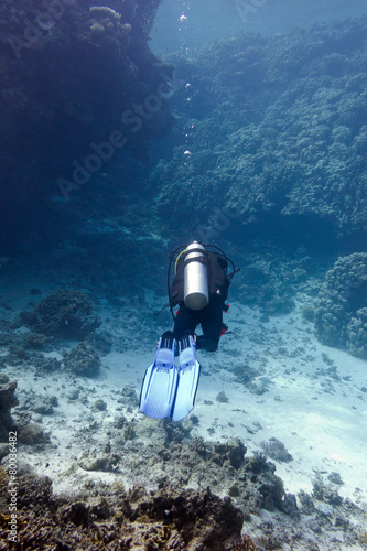 Obraz na płótnie coral reef with diver in tropical sea - underwater w salonie
