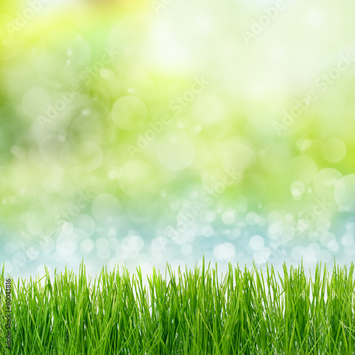 Green grass on abstract background