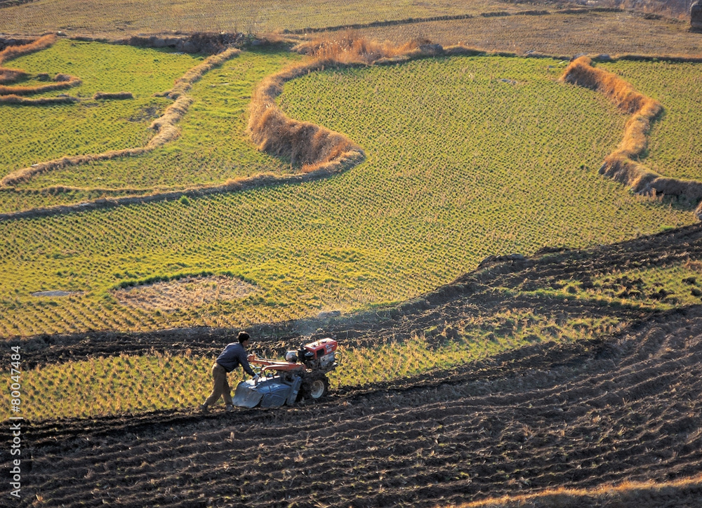 Obraz premium 가을의 전원