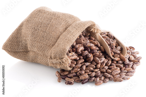 Pinto beans bag © homydesign