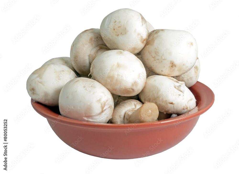 Mushrooms Mushrooms