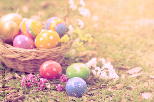 Photography Colorful easter eggs decorate with flower on grass in vintage st