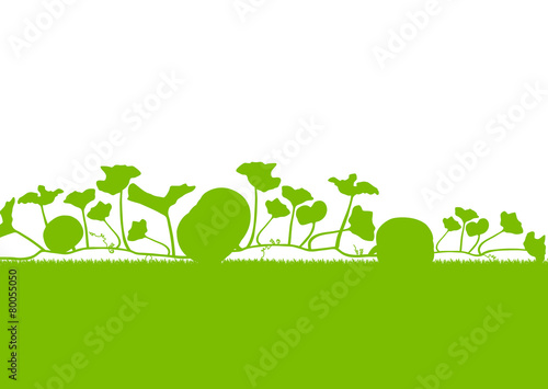 Pumpkin plants field vector background ecology green concept