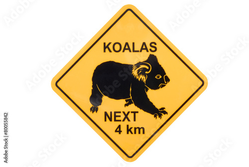 Photography Koala warning sign Australia road sign isolated on white background photo