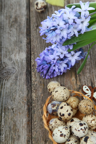 Easter composition with quail eggs and hyacinth