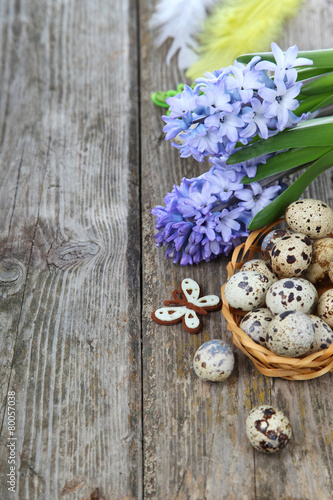 Easter composition with quail eggs and hyacinth