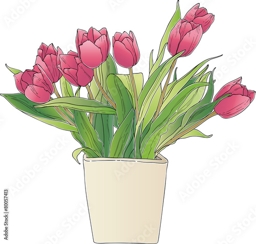 Fototapeta Naklejka Na Ścianę i Meble -  Tulips