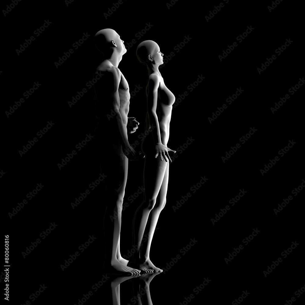 男女の人体 男女の人体
