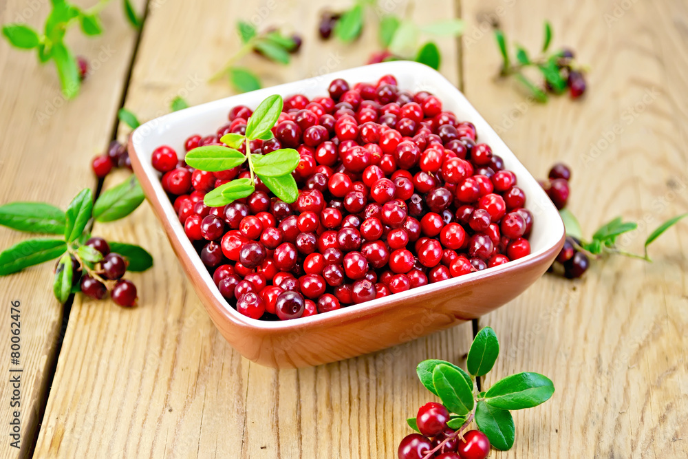 Lingonberry red in bowl on board Lingonberry red in bowl on board