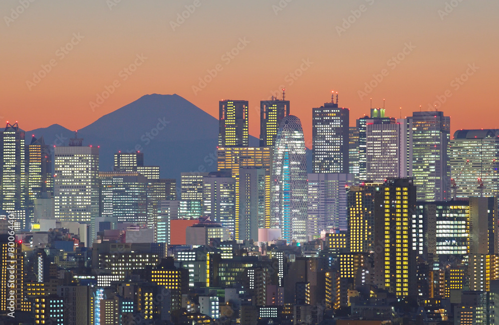 Obraz premium Tokyo cityscape and Mountain fuji at twilight..