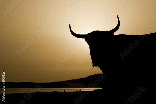 Cuernos