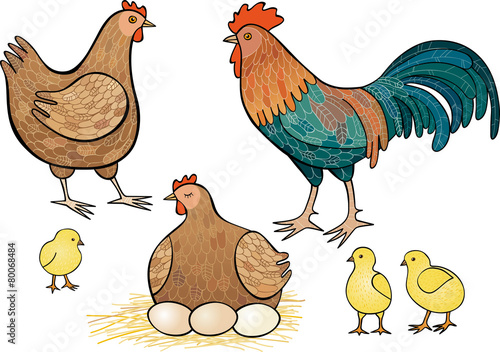 Fowls
