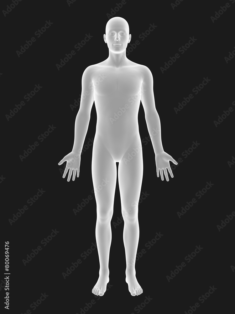 3D male 3D male