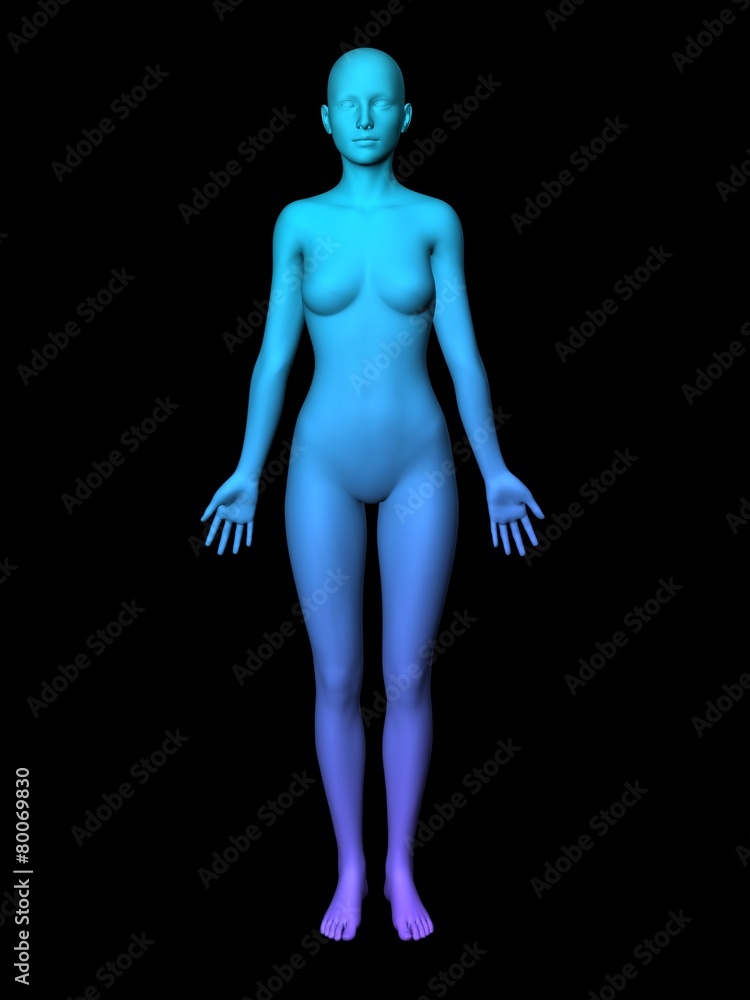 woman body woman body