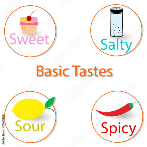 Basic tastes. Vector illustration, infographics.