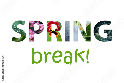 Tableau sur toile The words spring break made of colorful spring images
