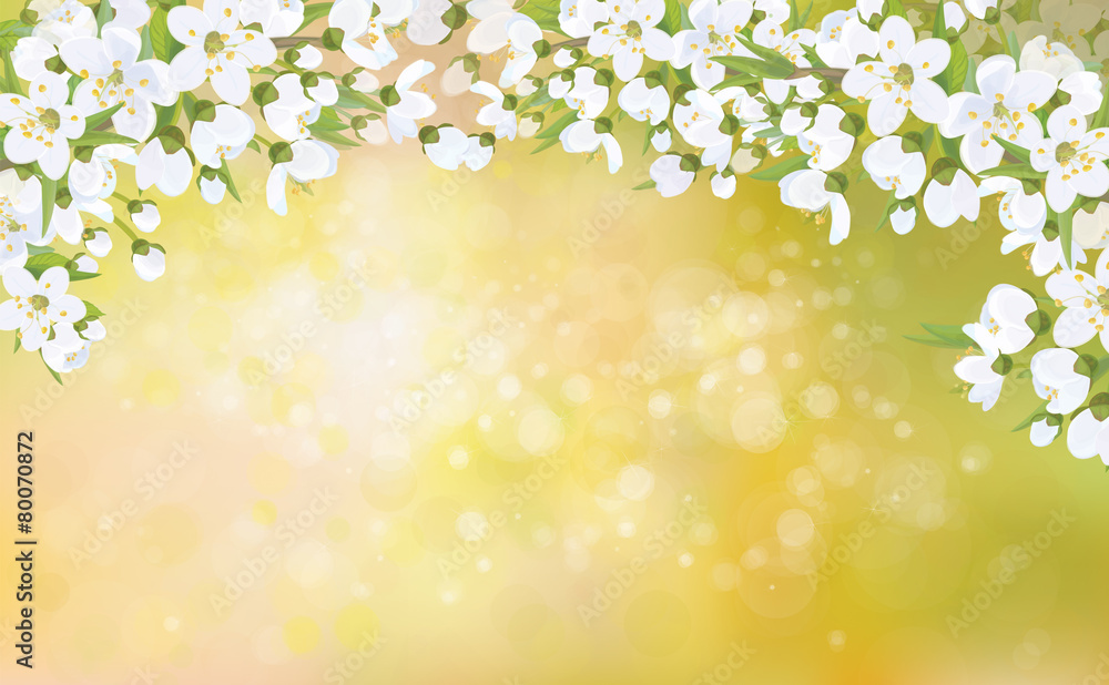 Vector blossoming branches of apple tree, spring background.