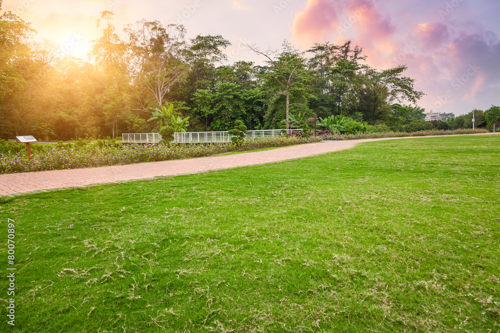 Obraz premium Close up flower