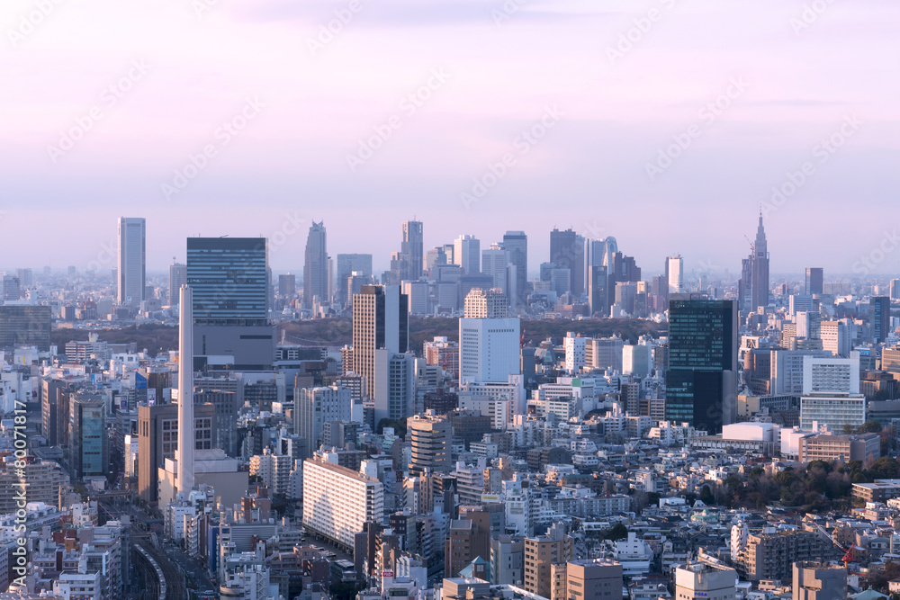 東京都市風景　渋谷と新宿高層ビル群を望む　夕陽があたる