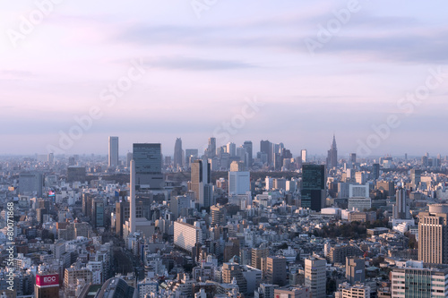 東京都市風景 渋谷と新宿高層ビル群を望む 夕陽があたる
