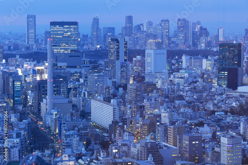 東京都市風景 渋谷と新宿高層ビル群を望む トワイライト