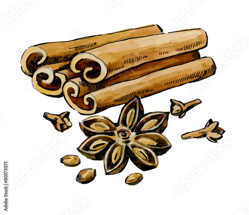 vector cinnamon