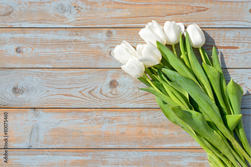 White tulips on a old wooden background with empty space layout