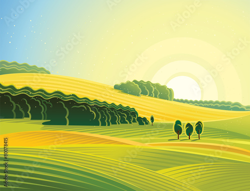 Rural landscape with field. Morning mood.
