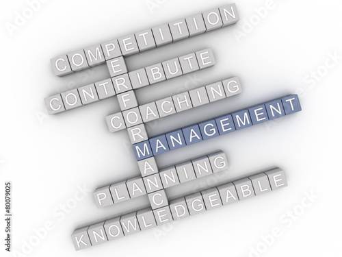 3d image Management  issues concept word cloud background