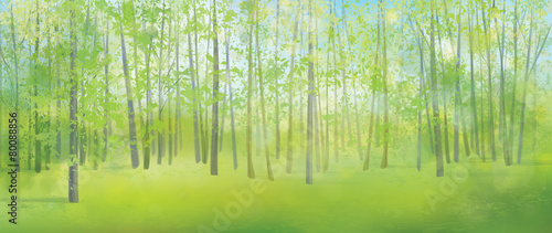 Vector spring forest background.