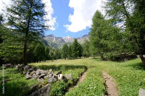 strada di montagna photo