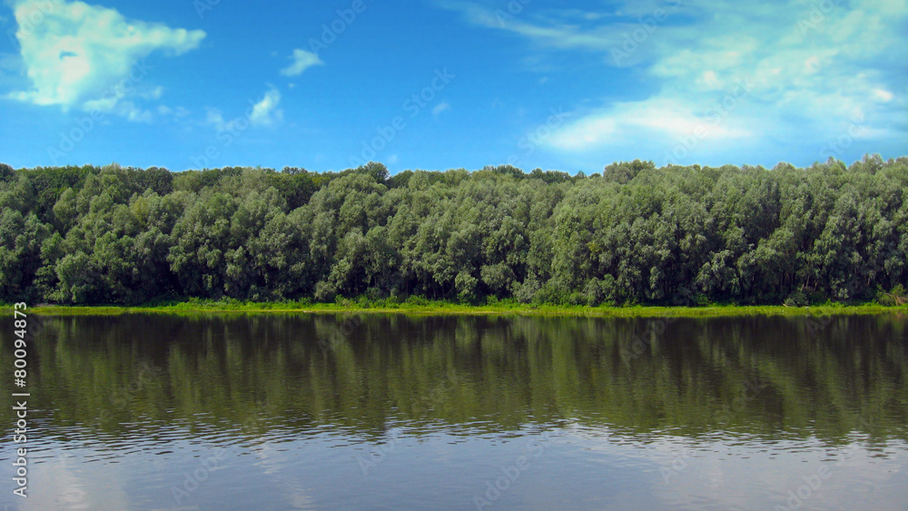 beautiful summer landscape with river and trees