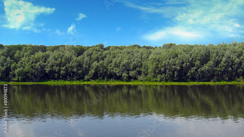 beautiful summer landscape with river and trees