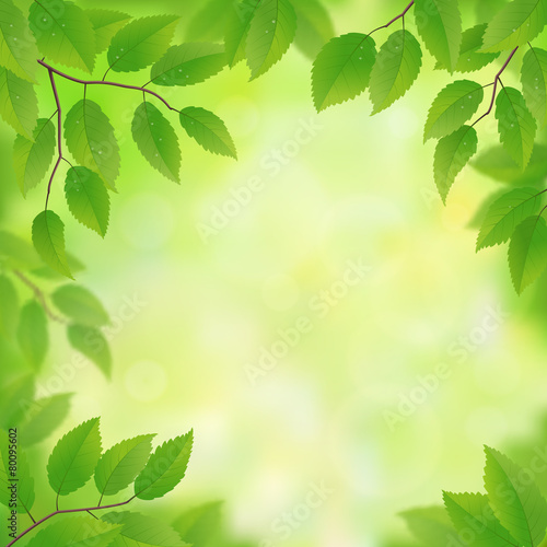 Spring green leaves background  vector illustration